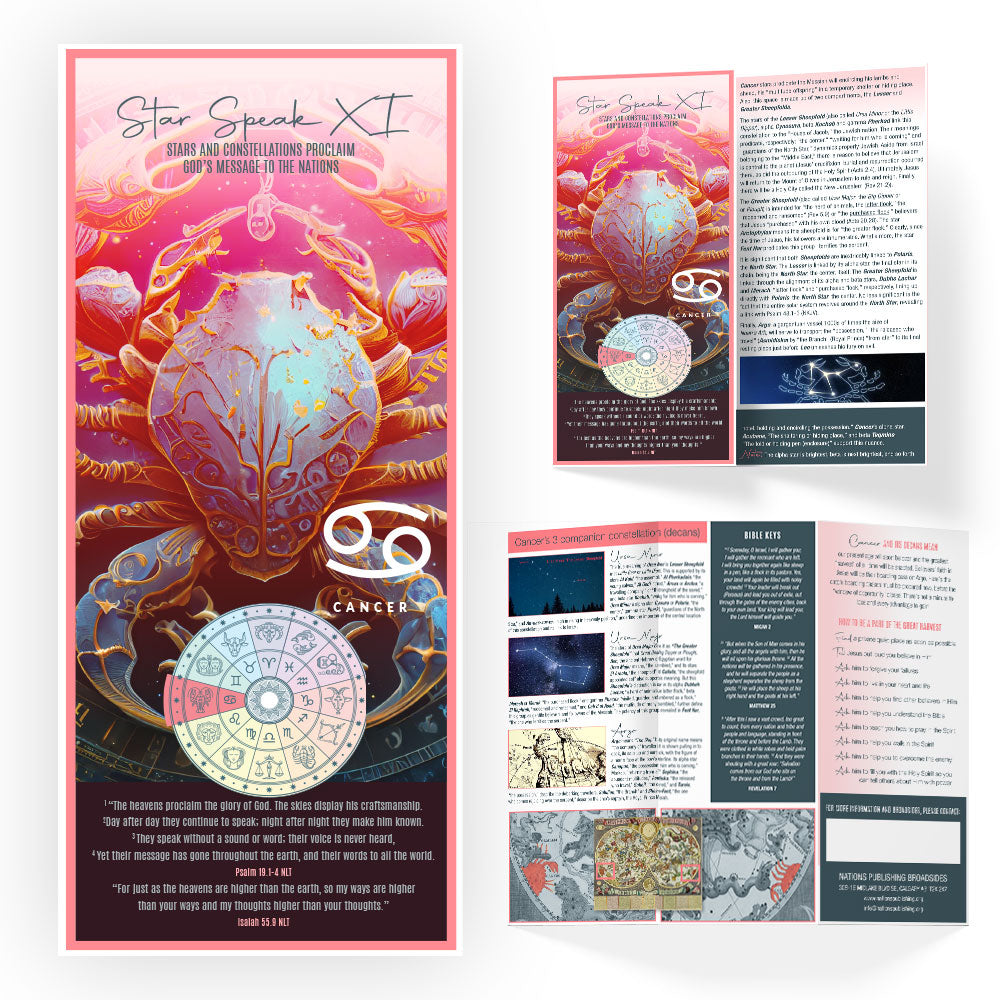 Cancer - Downloadable Format (PDF) - First edition